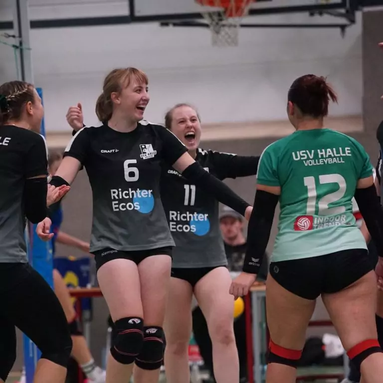 2. Damen – 17.Spieltag – “Die Sensation geschafft.”