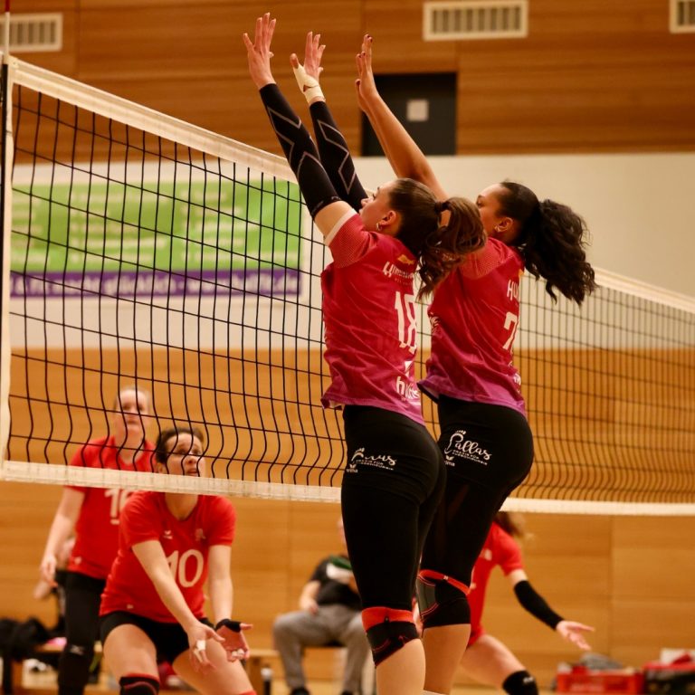 Zurück in der Erfolgsspur